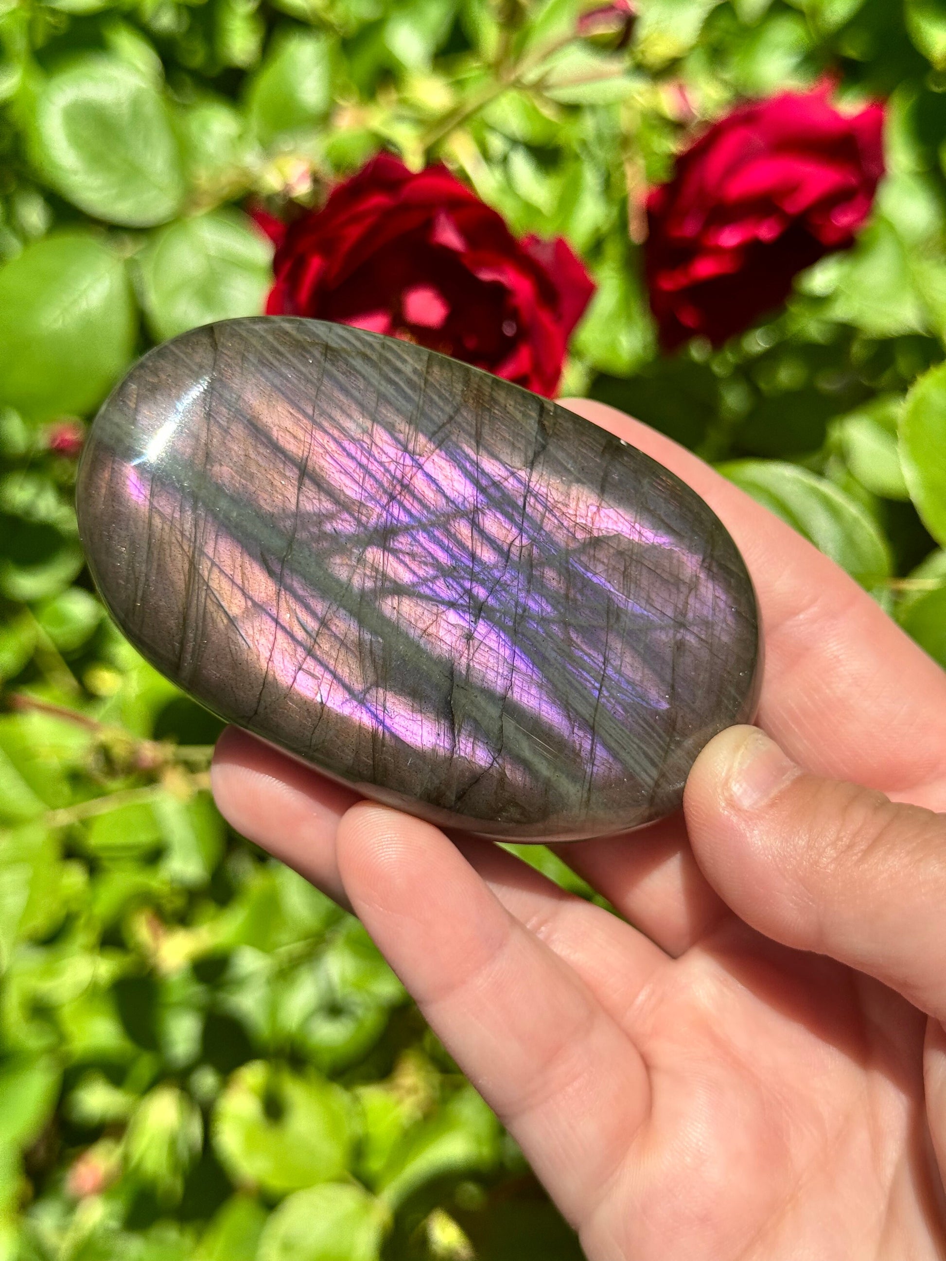 Purple Flash Mermaid Labradorite Gallet Stone Crystal | Lab Palm Stone | Crystal Gift | Stone Of Magic